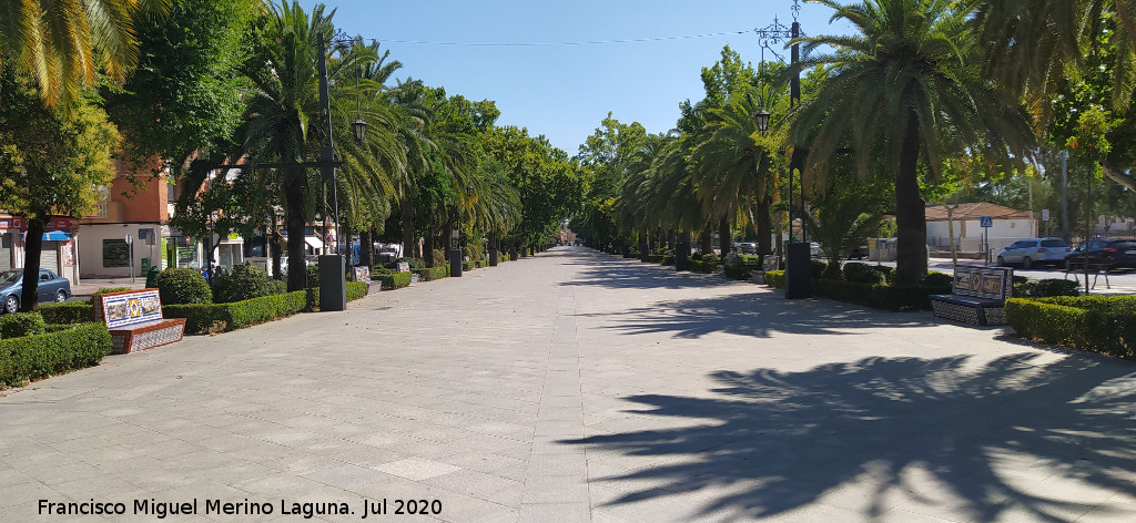 Paseo de Linarejos - Paseo de Linarejos. 