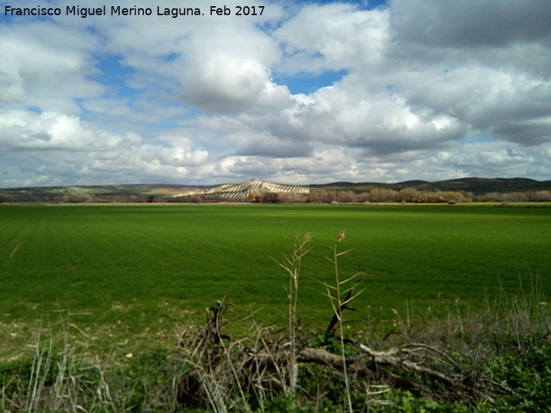 Yacimiento Graena Alta - Yacimiento Graena Alta. 