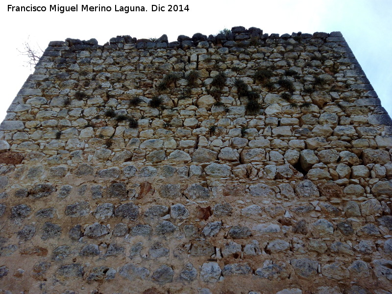 Castillo de Mata Bejid. Torre del Homenaje - Castillo de Mata Bejid. Torre del Homenaje. Lado norte