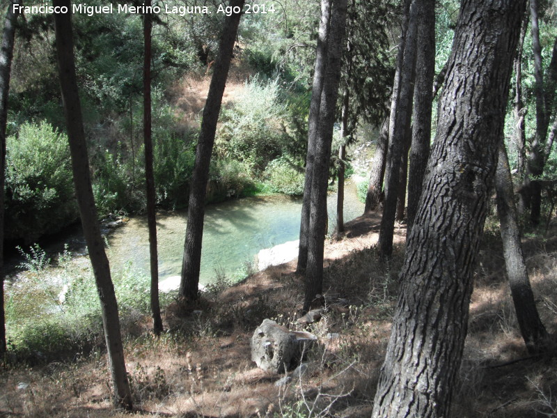 Ro Fro - Ro Fro. Pinos de despus de la piscifactora