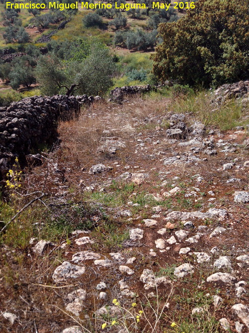 Camino de la Fuente del Pez - Camino de la Fuente del Pez. 