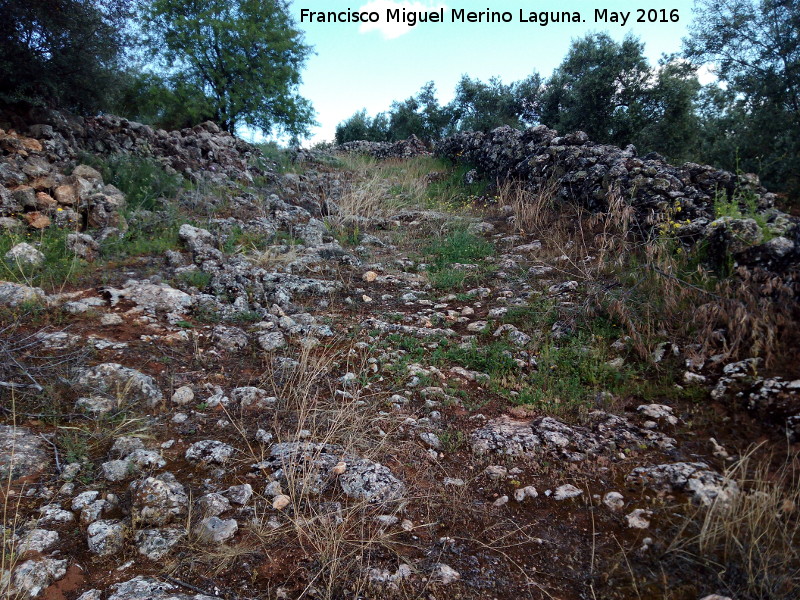 Camino de la Fuente del Pez - Camino de la Fuente del Pez. 