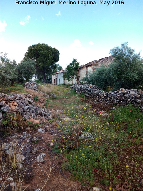 Camino de la Fuente del Pez - Camino de la Fuente del Pez. Llegando a la aldea