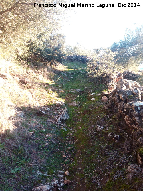 Camino de la Fuente del Pez - Camino de la Fuente del Pez. 