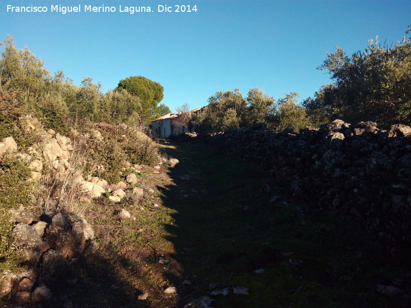 Camino de la Fuente del Pez - Camino de la Fuente del Pez. Llegando a la aldea