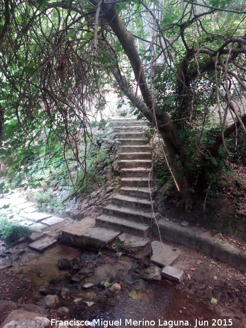 Nacimiento de Ro Fro - Nacimiento de Ro Fro. Escaleras para bajar al ro