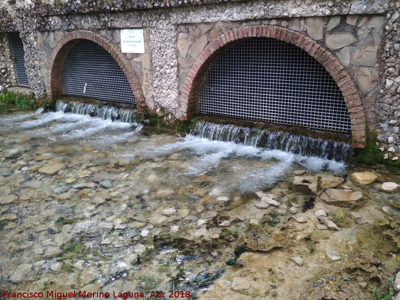 Nacimiento de Ro Fro - Nacimiento de Ro Fro. Desbordado el nacimiento