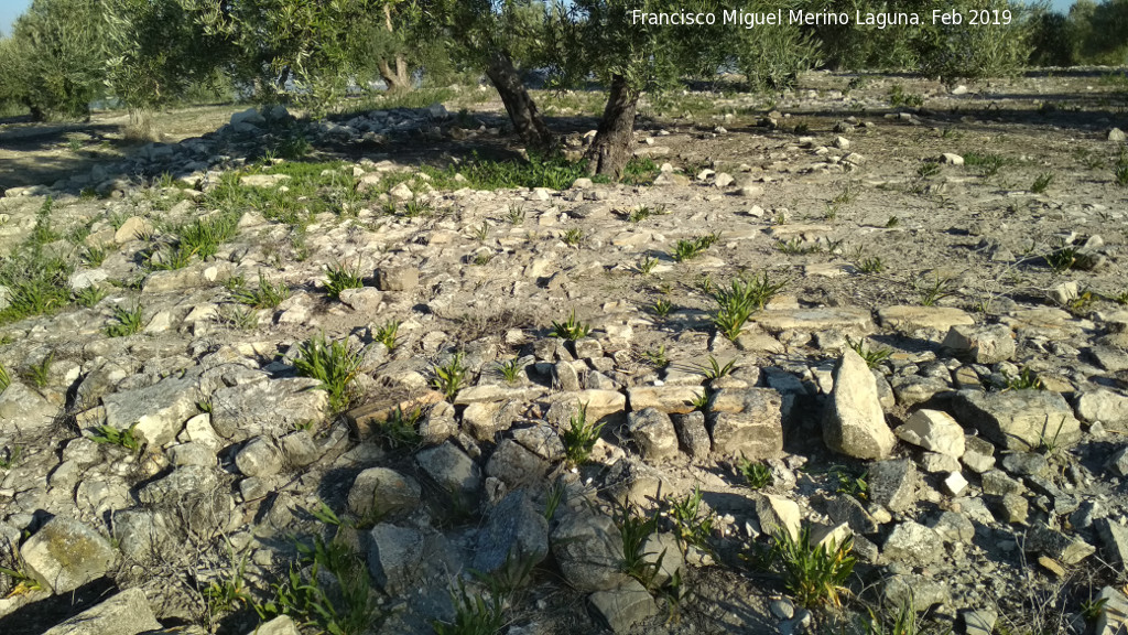 Fortn romano del Cerro Abejcar - Fortn romano del Cerro Abejcar. 