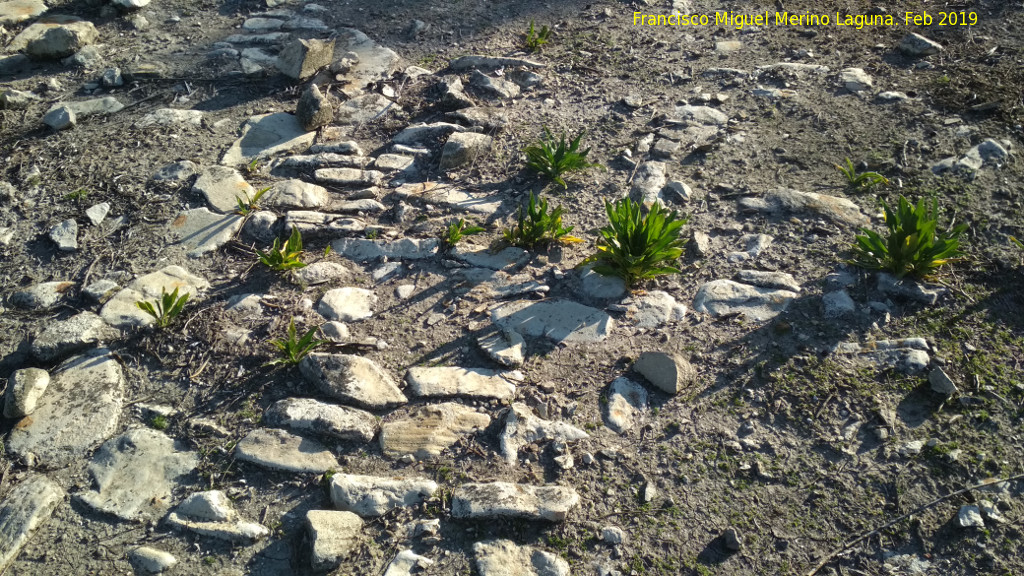 Fortn romano del Cerro Abejcar - Fortn romano del Cerro Abejcar. 