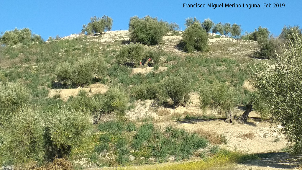 Fortn romano del Cerro Abejcar - Fortn romano del Cerro Abejcar. 