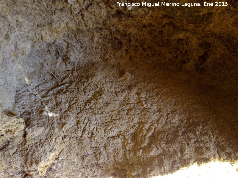 Cuevas Piquita. Cueva VIII - Cuevas Piquita. Cueva VIII. Huellas de aves en la tierra del suelo