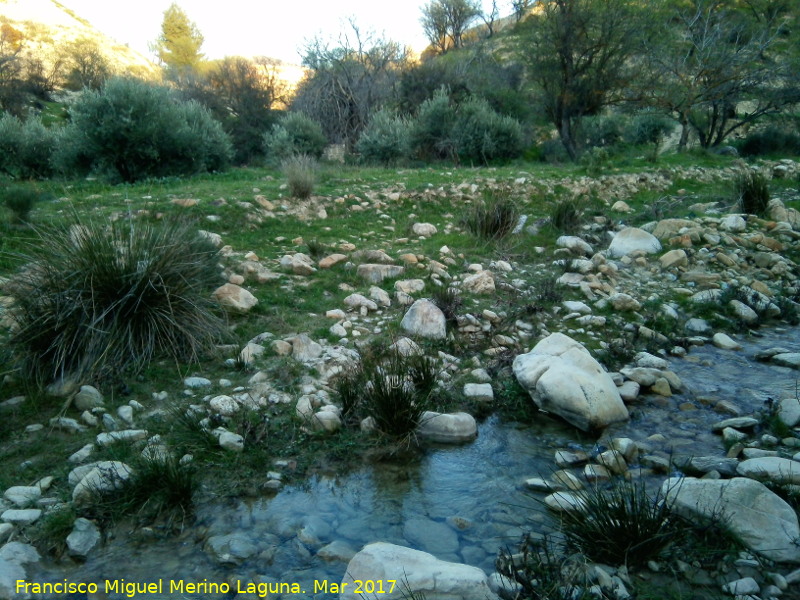 Arroyo Pedregoso - Arroyo Pedregoso. 