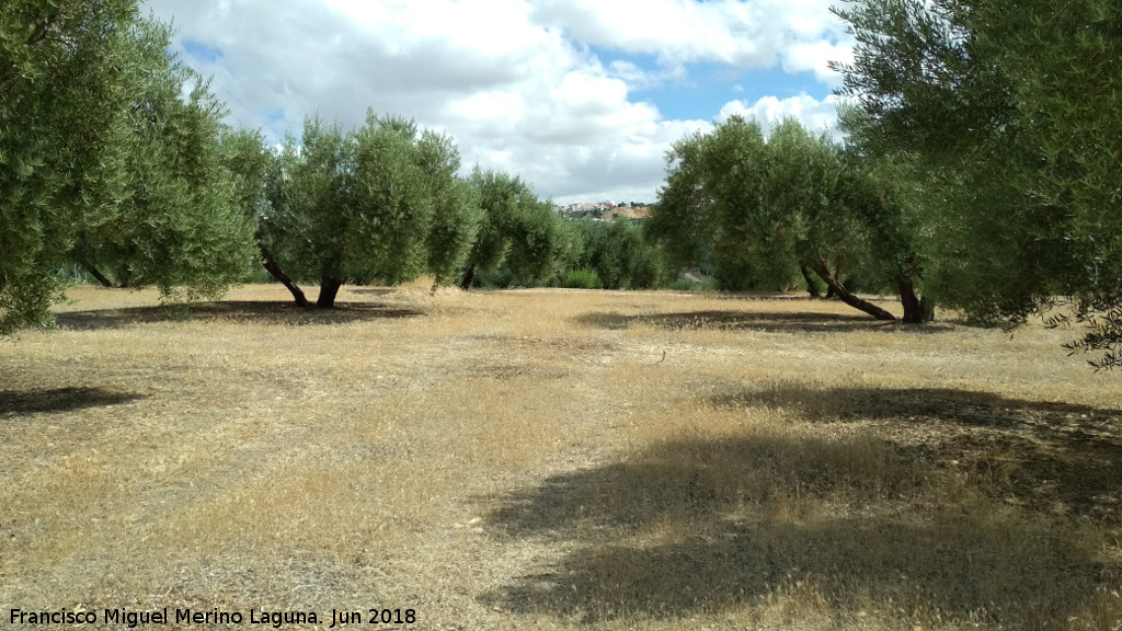 Yacimiento La Chocica - Yacimiento La Chocica. Vistas hacia Obulco