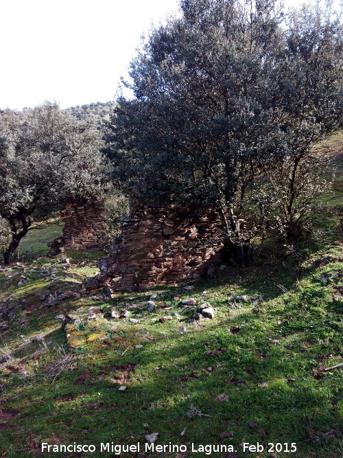 Cortijo de las Piletas - Cortijo de las Piletas. 