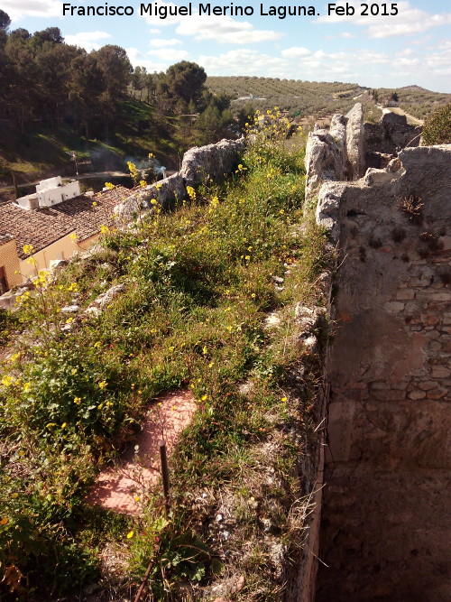 Castillo de Torredonjimeno. Murallas - Castillo de Torredonjimeno. Murallas. Adarve