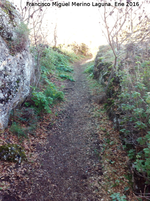 Camino de Corts - Camino de Corts. 