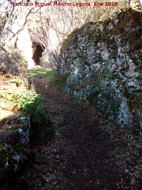 Camino de Corts - Camino de Corts. 