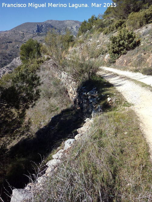 Camino del Mercadillo - Camino del Mercadillo. 