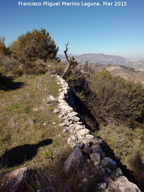 Camino del Mercadillo - Camino del Mercadillo. 