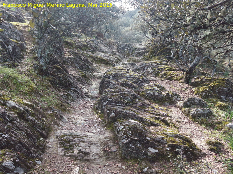 Rodenas del Cordel de Vllora - Rodenas del Cordel de Vllora. 