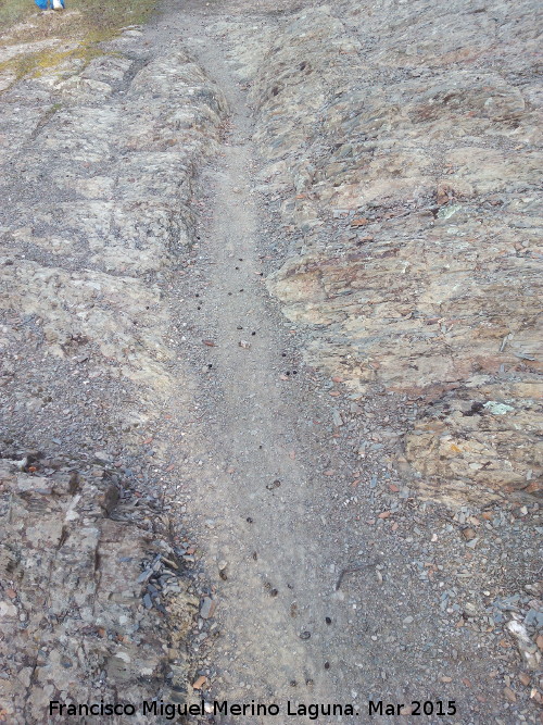 Rodenas del Cordel de Vllora - Rodenas del Cordel de Vllora. Rodena nica