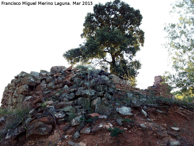 Tejera de Corralillo - Tejera de Corralillo. 