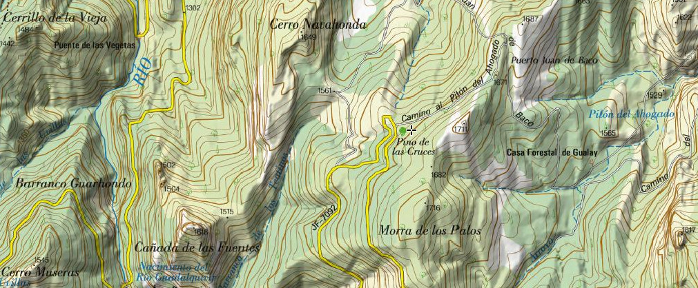 Pino de las Cruces - Pino de las Cruces. Mapa