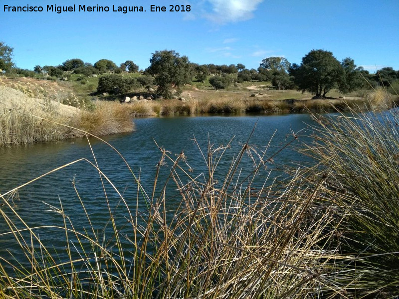 Laguna de Burguillos - Laguna de Burguillos. 