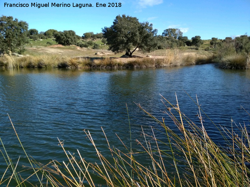 Laguna de Burguillos - Laguna de Burguillos. 