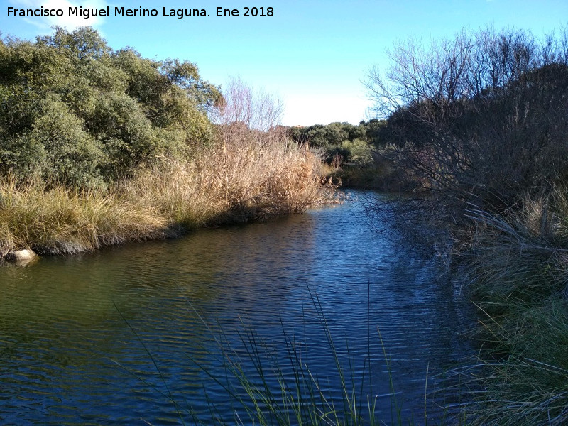 Laguna de Burguillos - Laguna de Burguillos. 