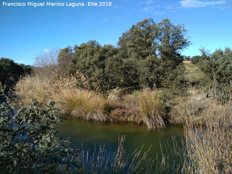 Laguna de Burguillos - Laguna de Burguillos. 