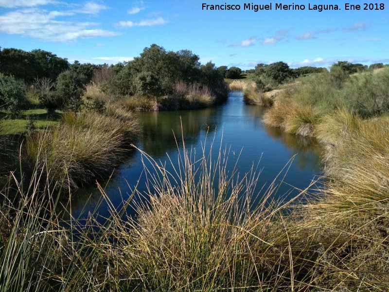 Laguna de Burguillos - Laguna de Burguillos. 