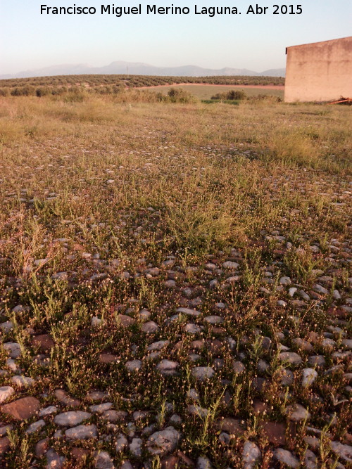 Eras de Almenara - Eras de Almenara. 