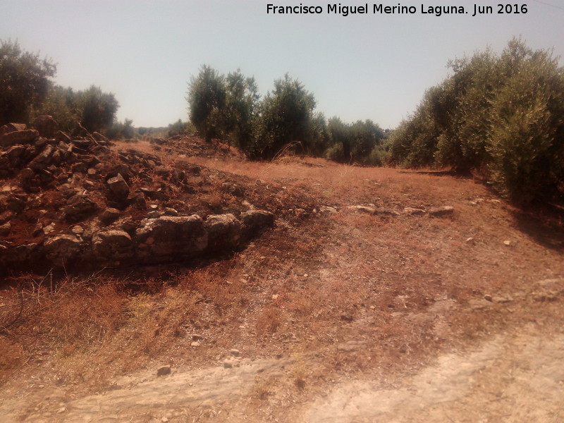 Yacimiento de la Huerta del Comendador - Yacimiento de la Huerta del Comendador. Muro o muralla