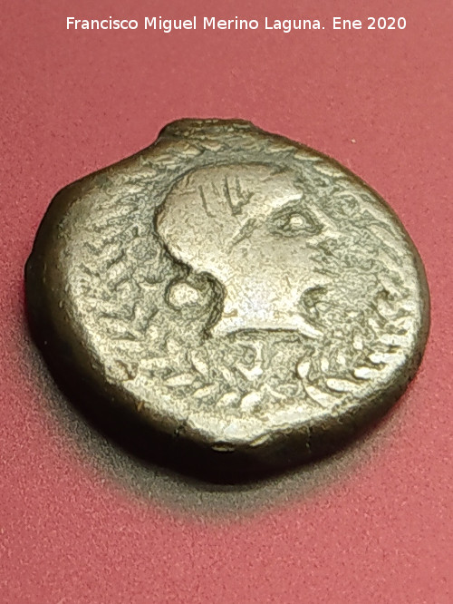 Obulco - Obulco. Moneda Divisor de Obulco. Anverso Tanit. Museo Arqueol�gico Provincial de Ja�n