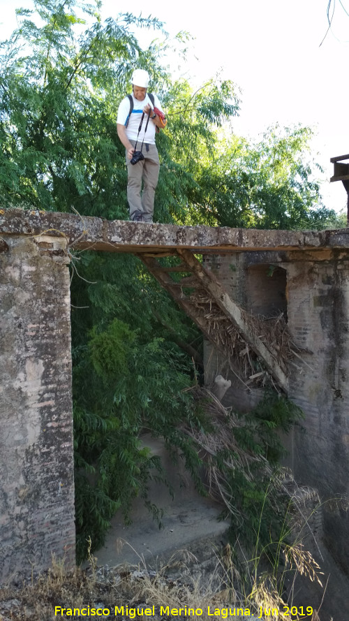 Presa de Casas Nuevas - Presa de Casas Nuevas. 