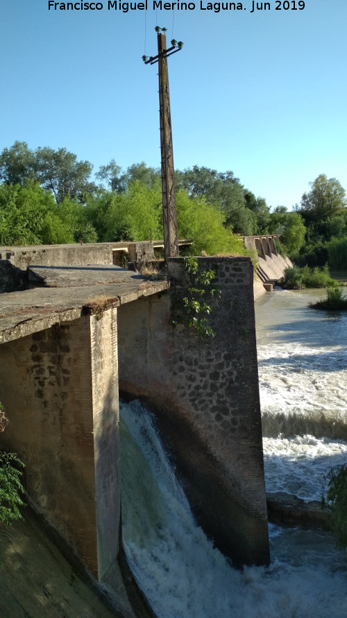 Presa de Casas Nuevas - Presa de Casas Nuevas. Poste de la luz