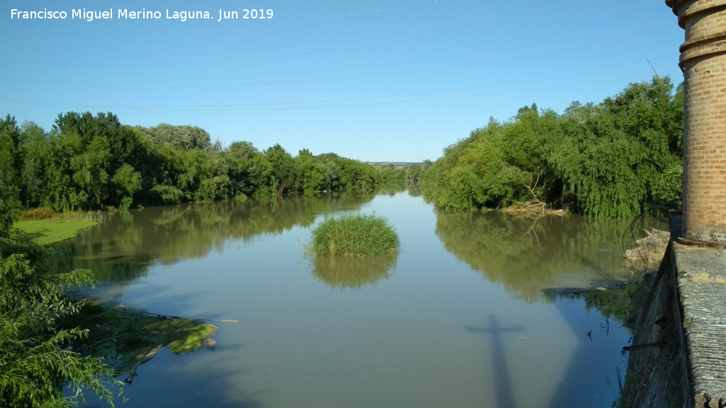 Presa de Casas Nuevas - Presa de Casas Nuevas. Vistas del Ro Guadalquivir desde la presa