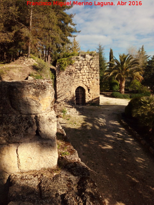 La Mota. Puerta Herrera - La Mota. Puerta Herrera. Desde el adarve de la muralla