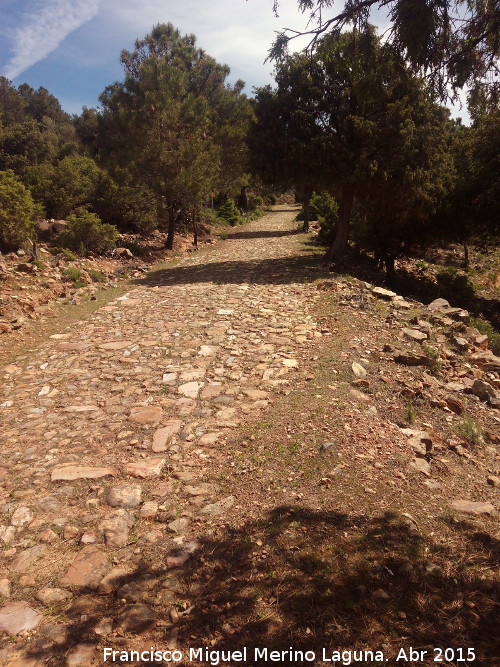 Calzada de El Empedraillo - Calzada de El Empedraillo. 