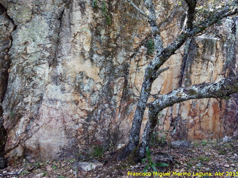 Pinturas rupestres de las Vacas del Retamoso XI Grupo II - Pinturas rupestres de las Vacas del Retamoso XI Grupo II. Pared rocosa que alberga las pinturas rupestres