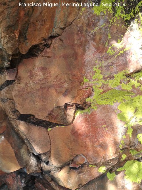 Pinturas rupestres de la Graja de Miranda I - Pinturas rupestres de la Graja de Miranda I. Panel