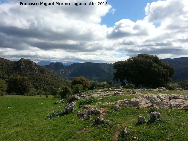 Encina del Moralejo - Encina del Moralejo. 