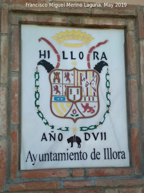 llora - llora. Escudo