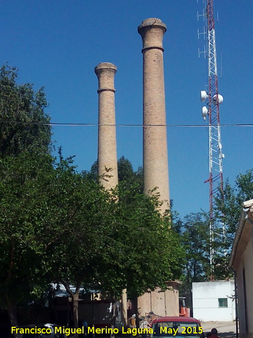 Finca de las Montalbas - Finca de las Montalbas. Chimeneas