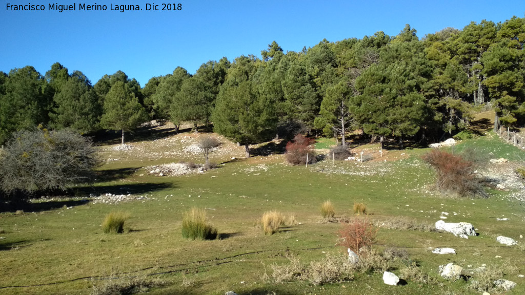 Hoyo de la Laguna - Hoyo de la Laguna. 