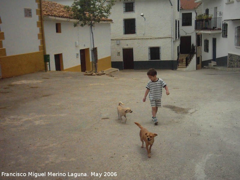 Plaza de Miller - Plaza de Miller. 