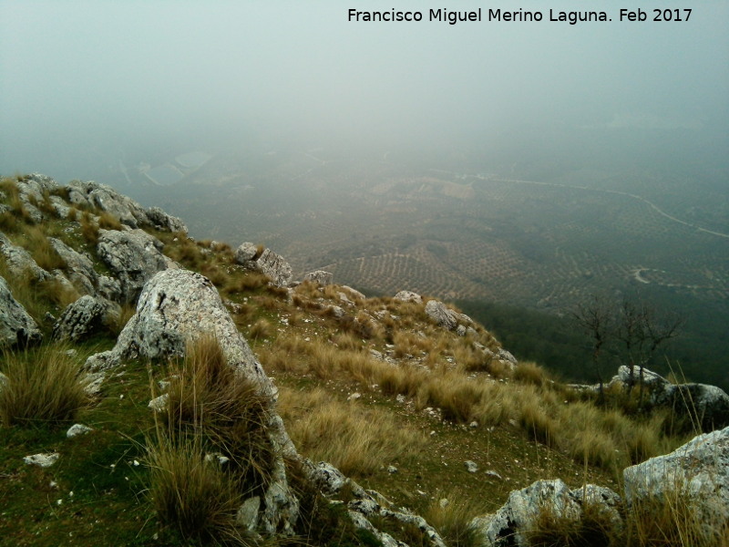 Castillo del Cerrillo Tesoro - Castillo del Cerrillo Tesoro. Vistas