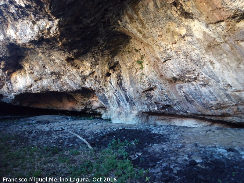 Yacimiento de la Cueva Del Nacimiento - Yacimiento de la Cueva Del Nacimiento. Interior