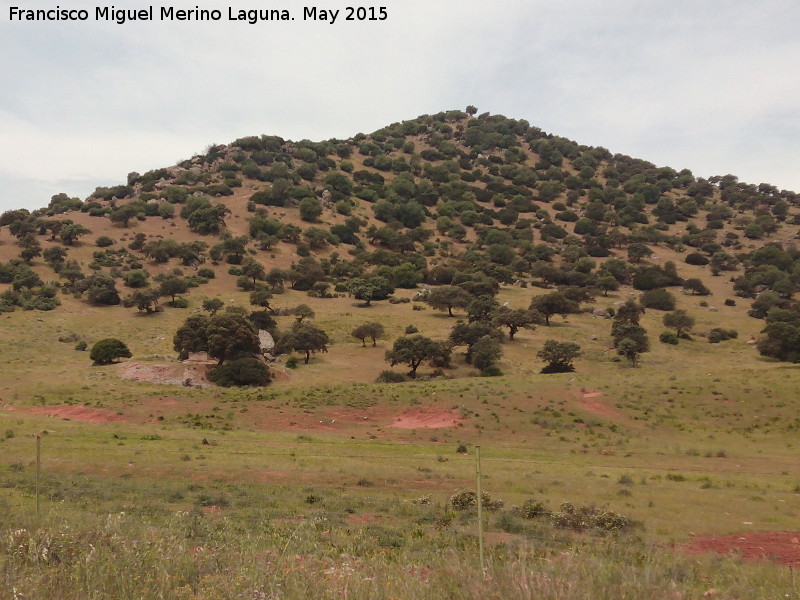 Cerro Merln - Cerro Merln. 